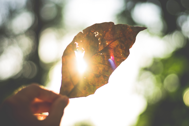 Five Tips to letting your light shine through